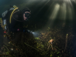 This diver found a Barbie-doll under water. Once it was a... by Brenda De Vries 